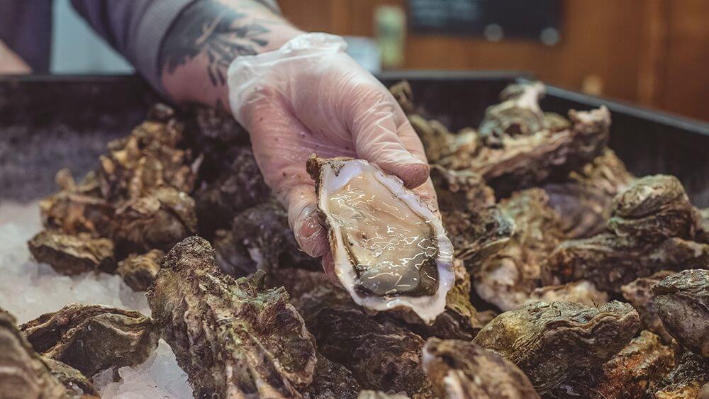Richard Haward's Oyster/Oysters