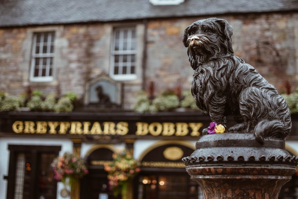 Edinburgh - 忠犬巴比雕像
