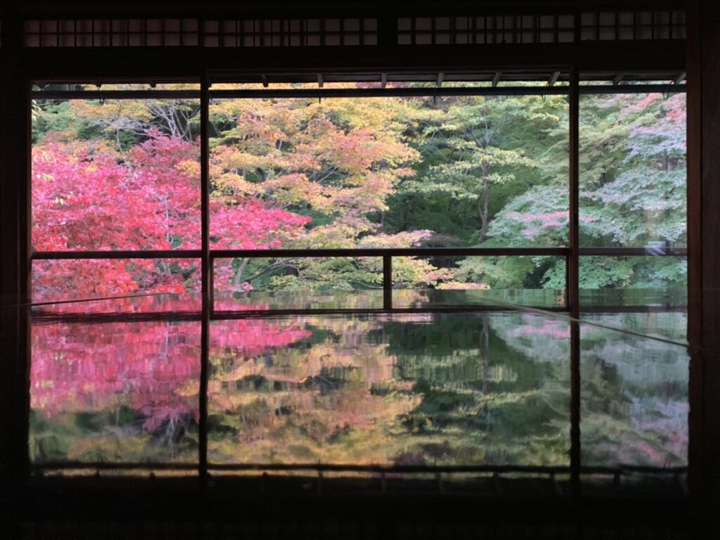 京都賞楓 - 琉璃光院